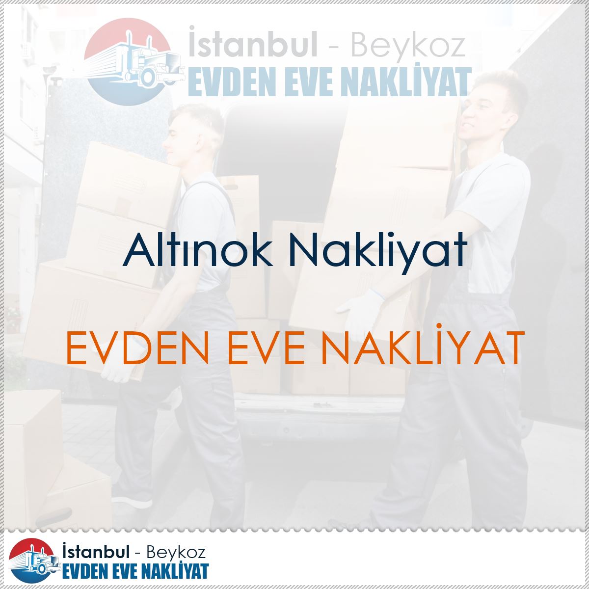 Altınok Nakliyat : Kapak Görseli