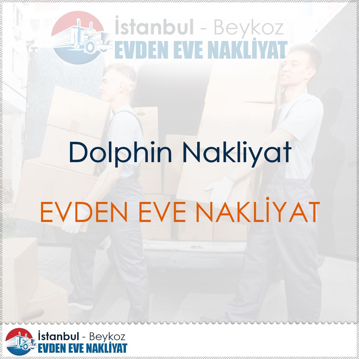 Dolphin Nakliyat : Kapak Görseli