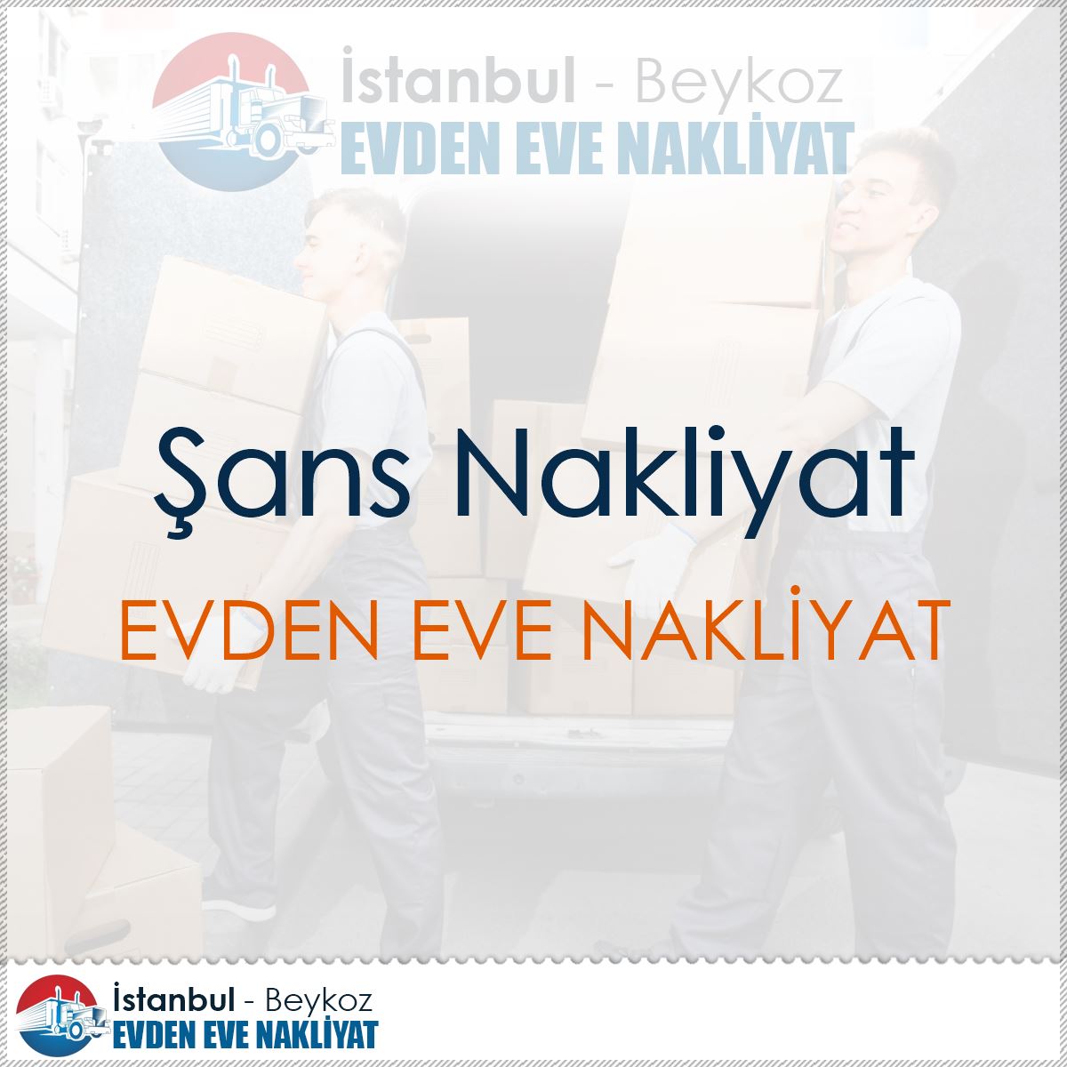 Şans Nakliyat : Kapak Görseli